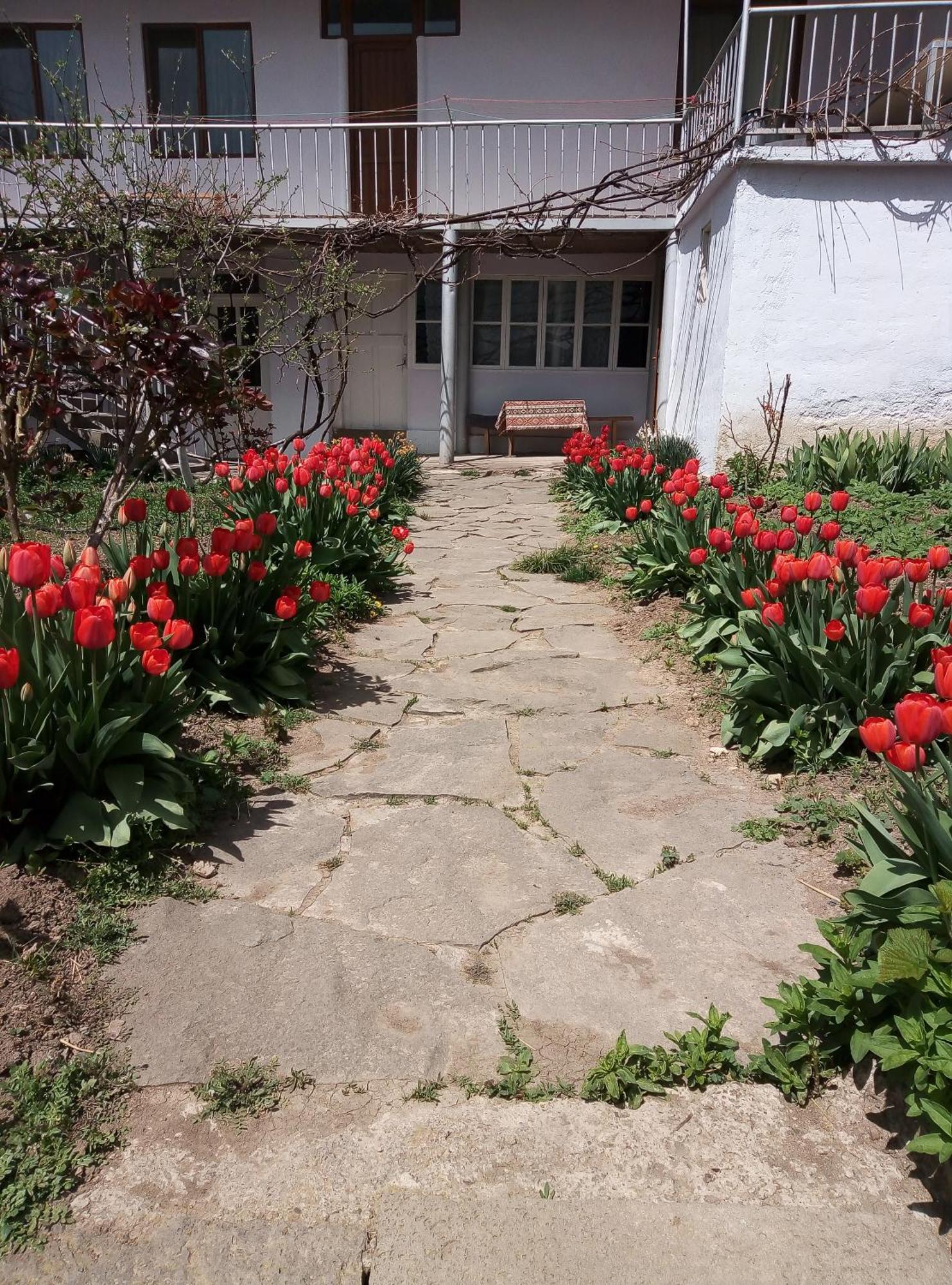 Aspet B&B Tatev Dış mekan fotoğraf
