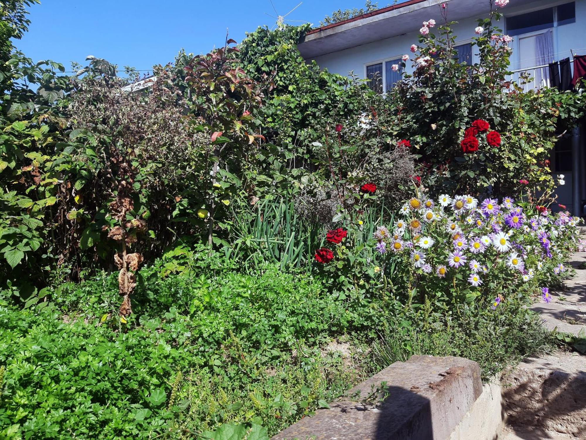 Aspet B&B Tatev Dış mekan fotoğraf